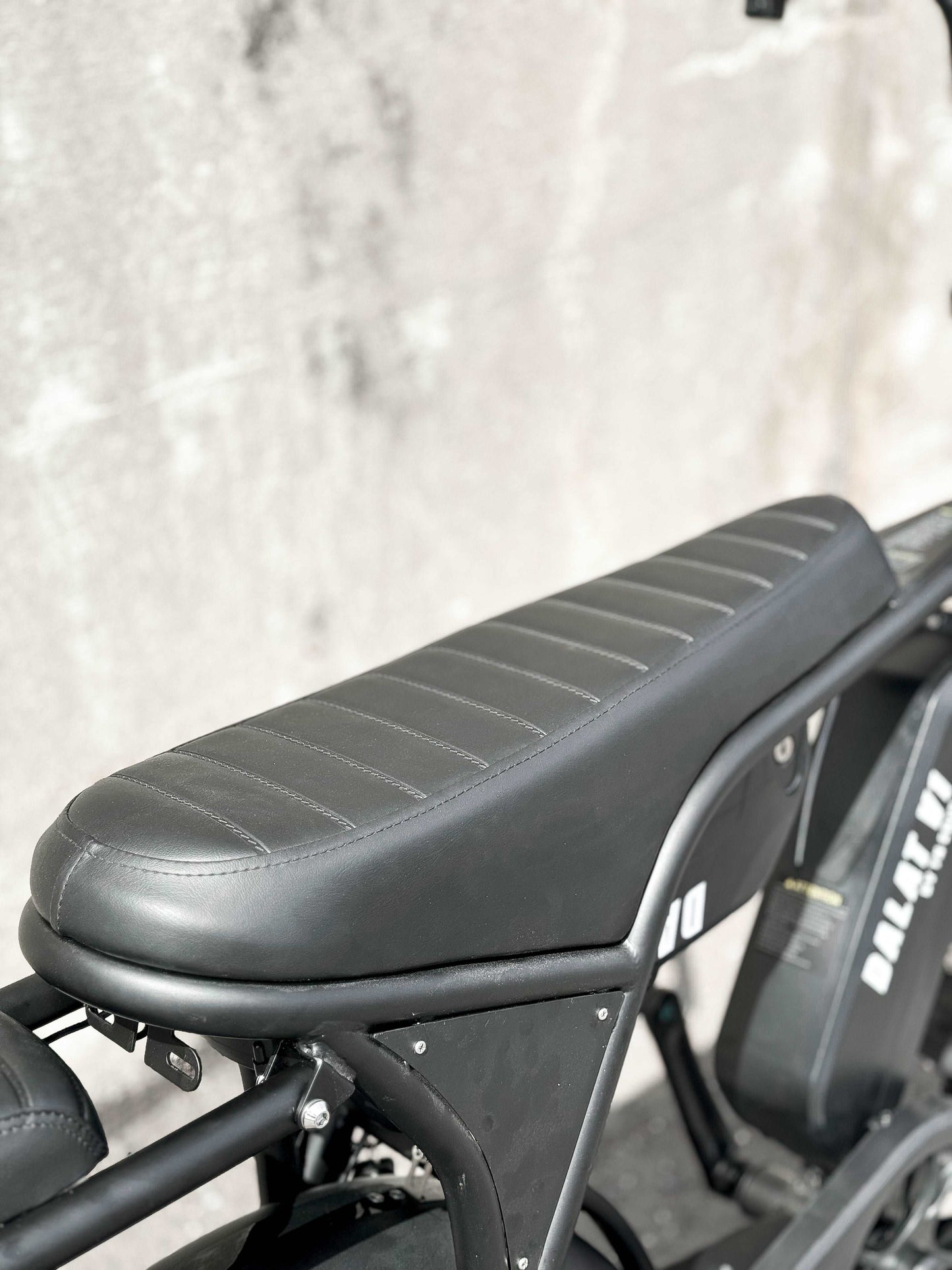 Dalat V1 Ebike Dual Battery, Banana Seat Electric Bike