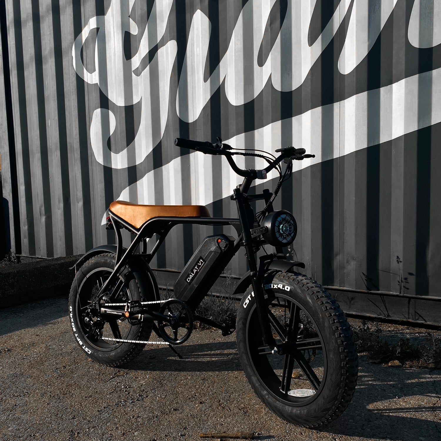 Ebike for sale Toronto