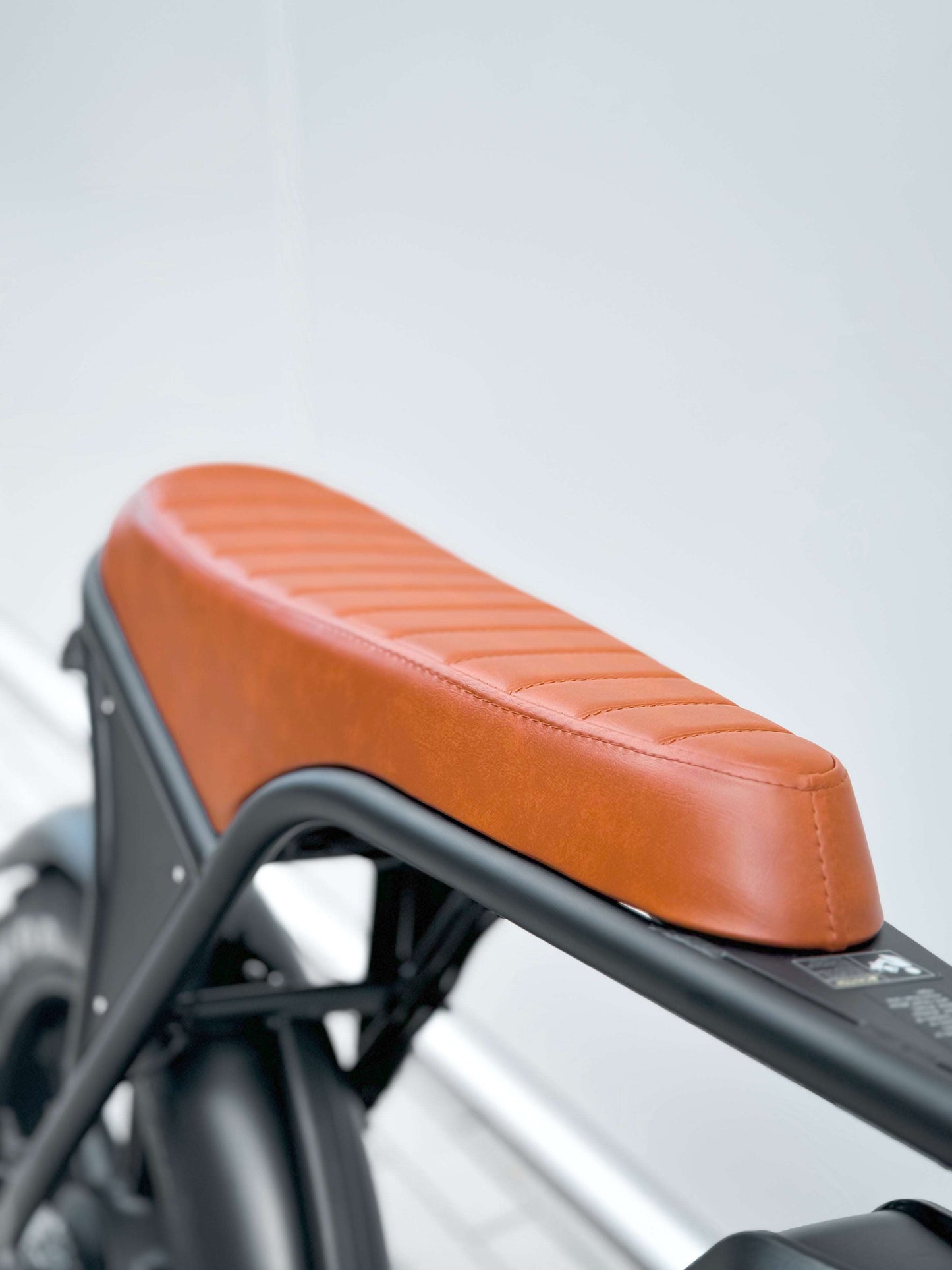 Dalat V1 Ebike, Banana seat Ebike for sale
