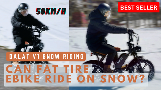 Which Ebike Can Go On Snow Better? - Fat Tire Ebike Perfect For Winter