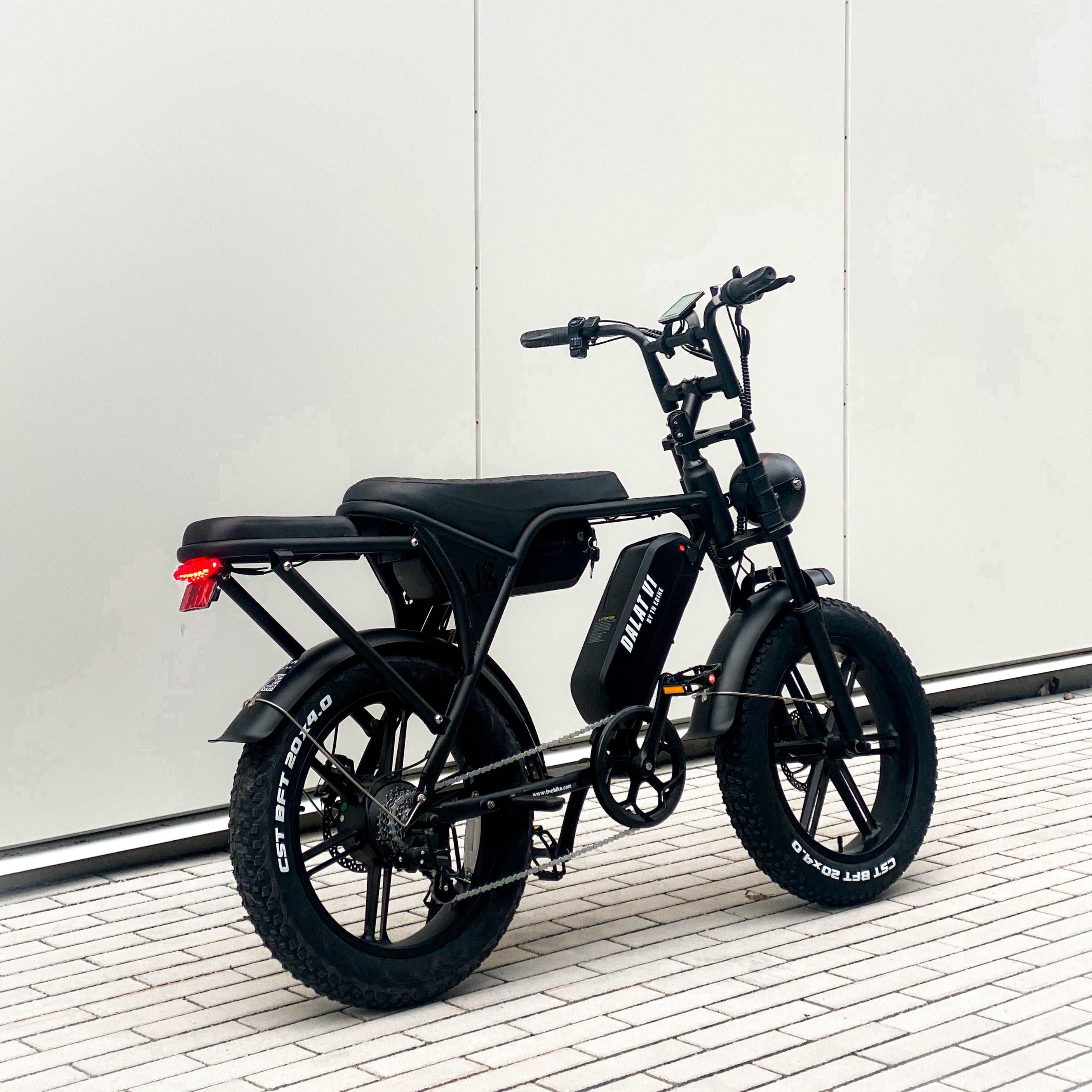 Dalat V1 Dual Battery Edition Electric Bike 2024 (Exclusive at TN Ebike)