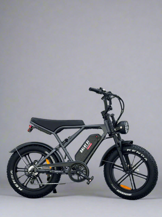 Dalat V1 Sport Edition Electric Bikes 2024