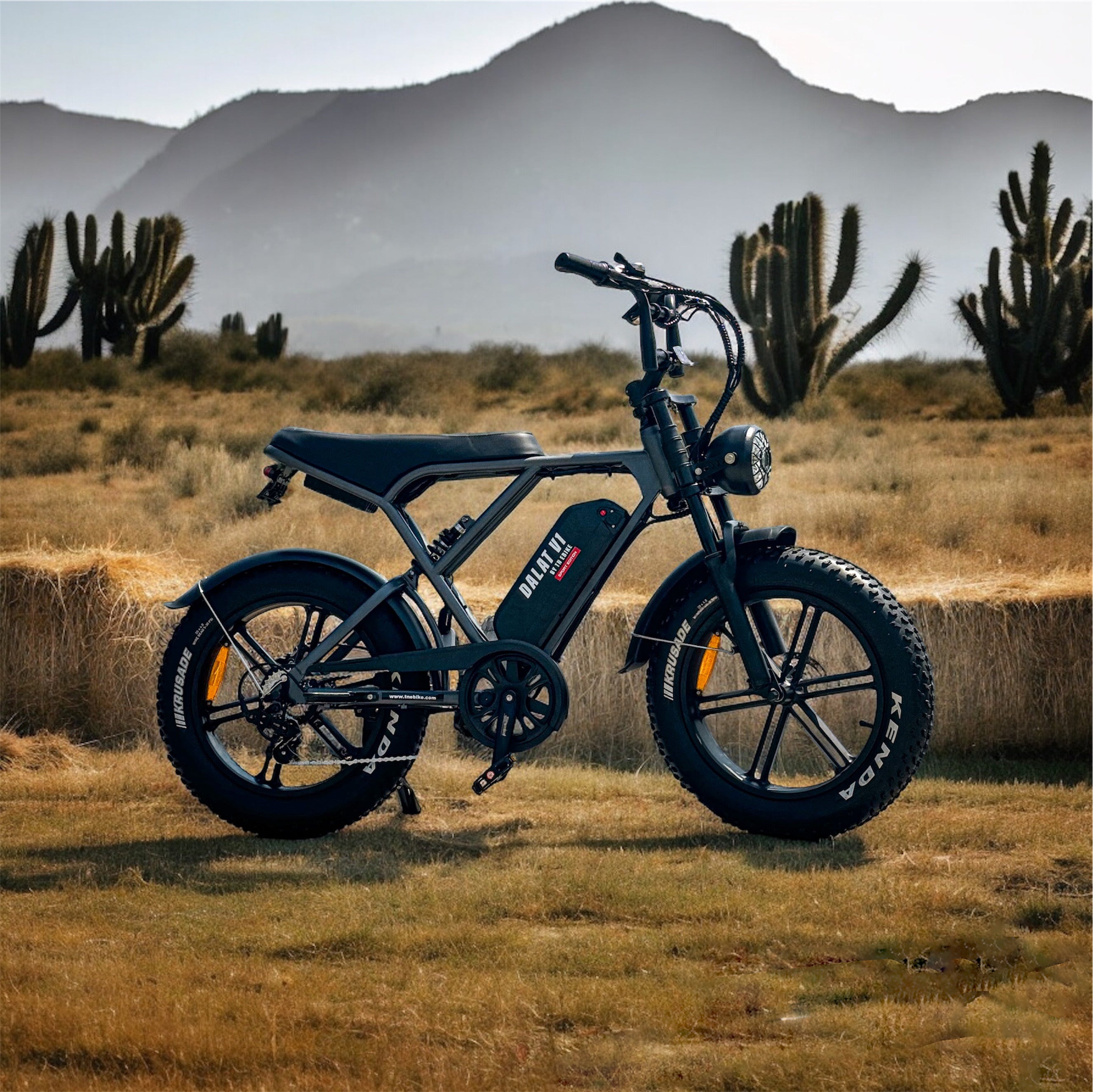 Dalat V1 Electric Bike Sport Edition 2024