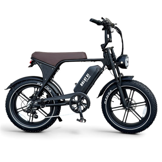 Dalat V1 Vintage Edition Electric Bikes 2026
