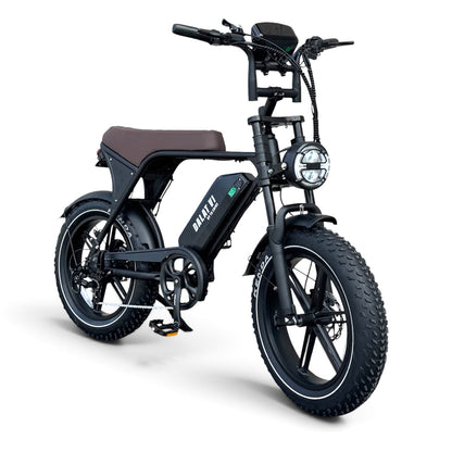 Dalat V1 Vintage Edition Electric Bikes 2026