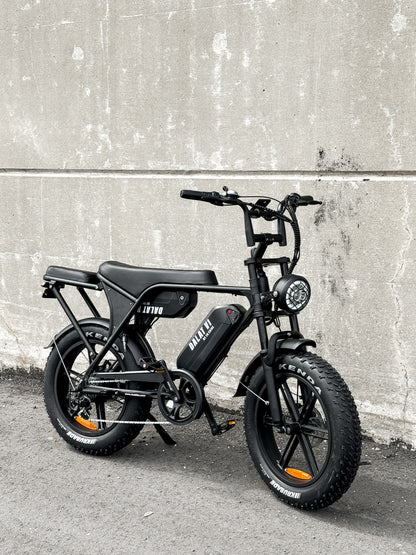 Electric Bike For sale  