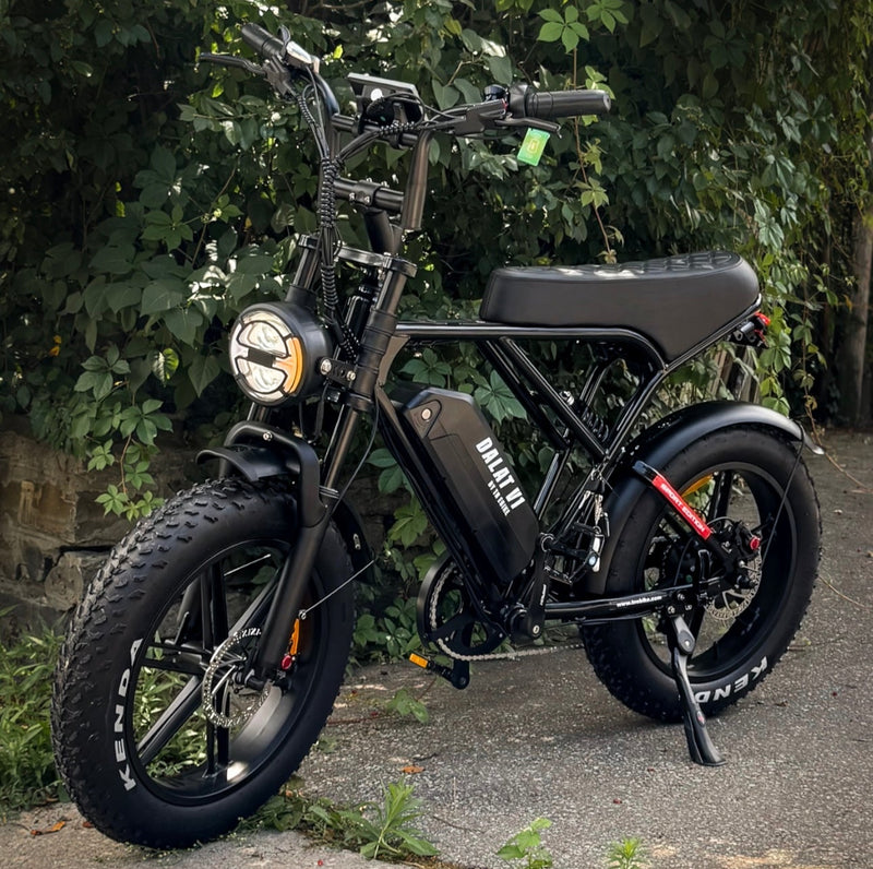 Long Range Dalat V1 Electric BIke Sport edition 2026 
