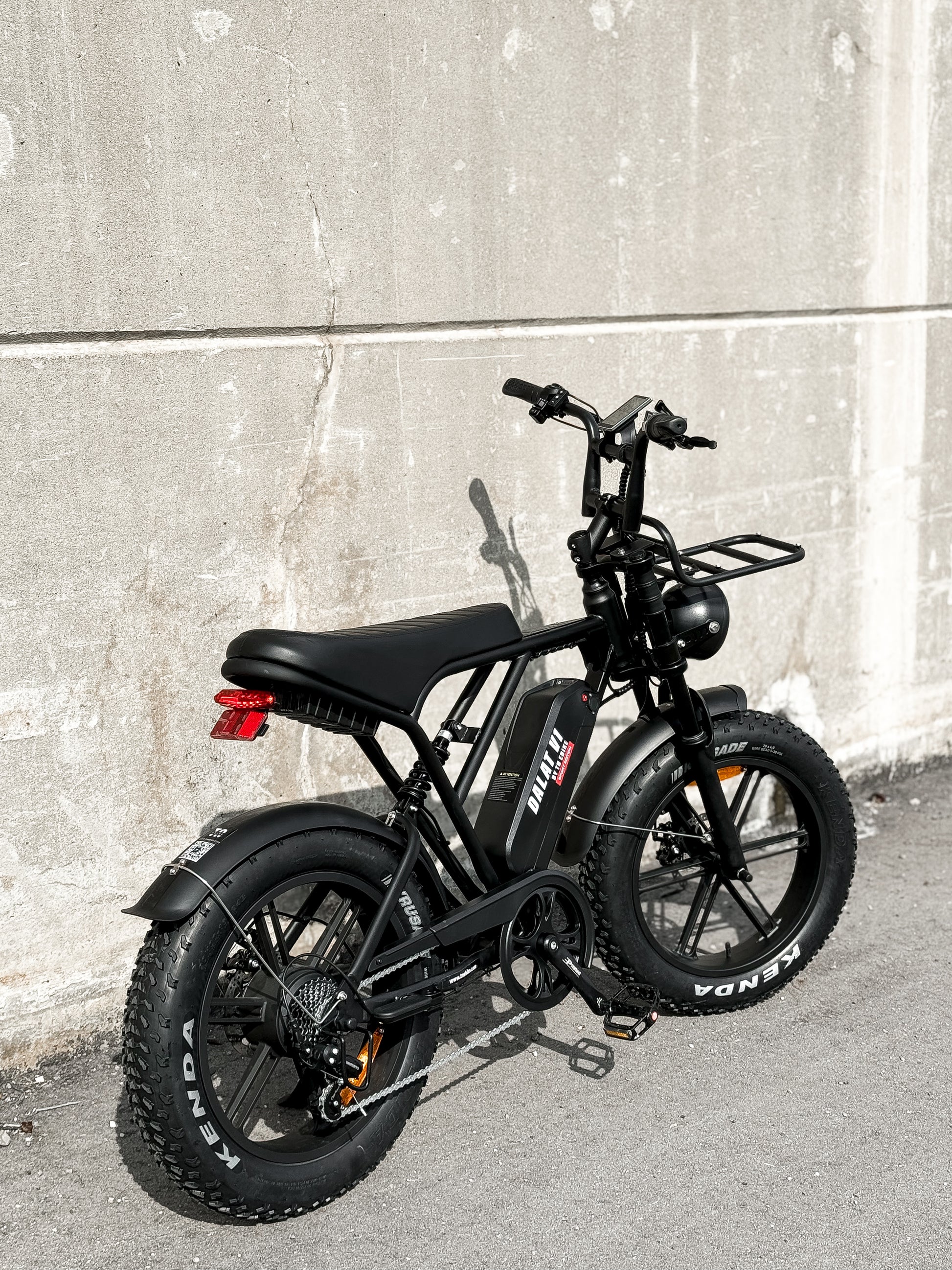 Fat tire ebike for sale