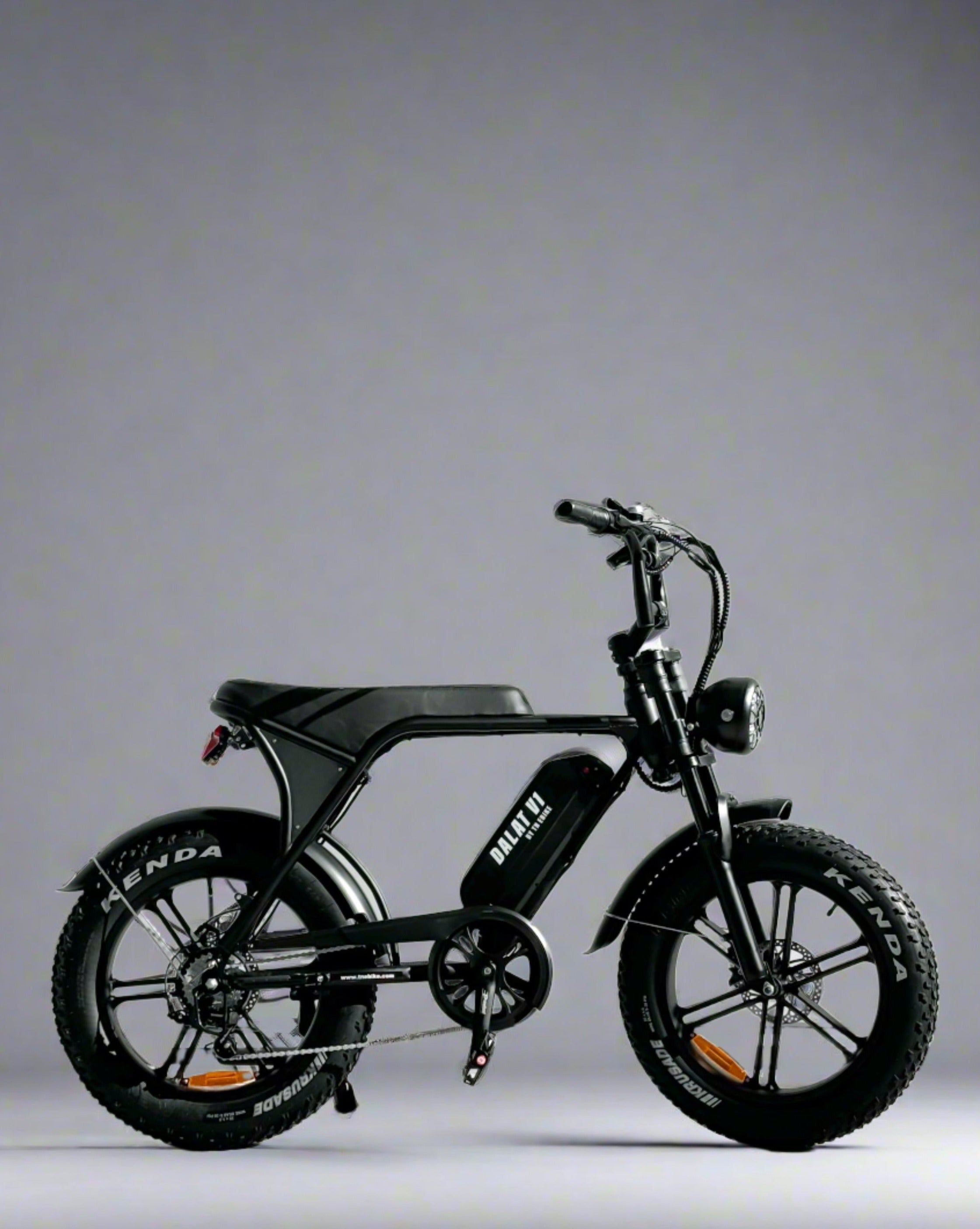 Electric Bike Motorcycle style